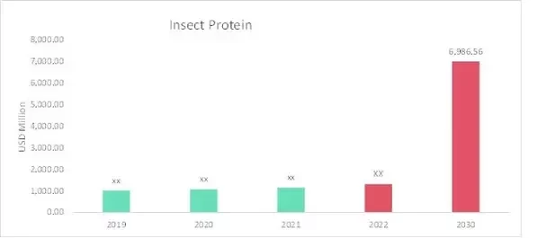 Insect Protein Market Overview