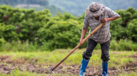 Global Micro-irrigation Systems Market is expected to Grow at a CAGR Over 5.75% from 2022 to 2030