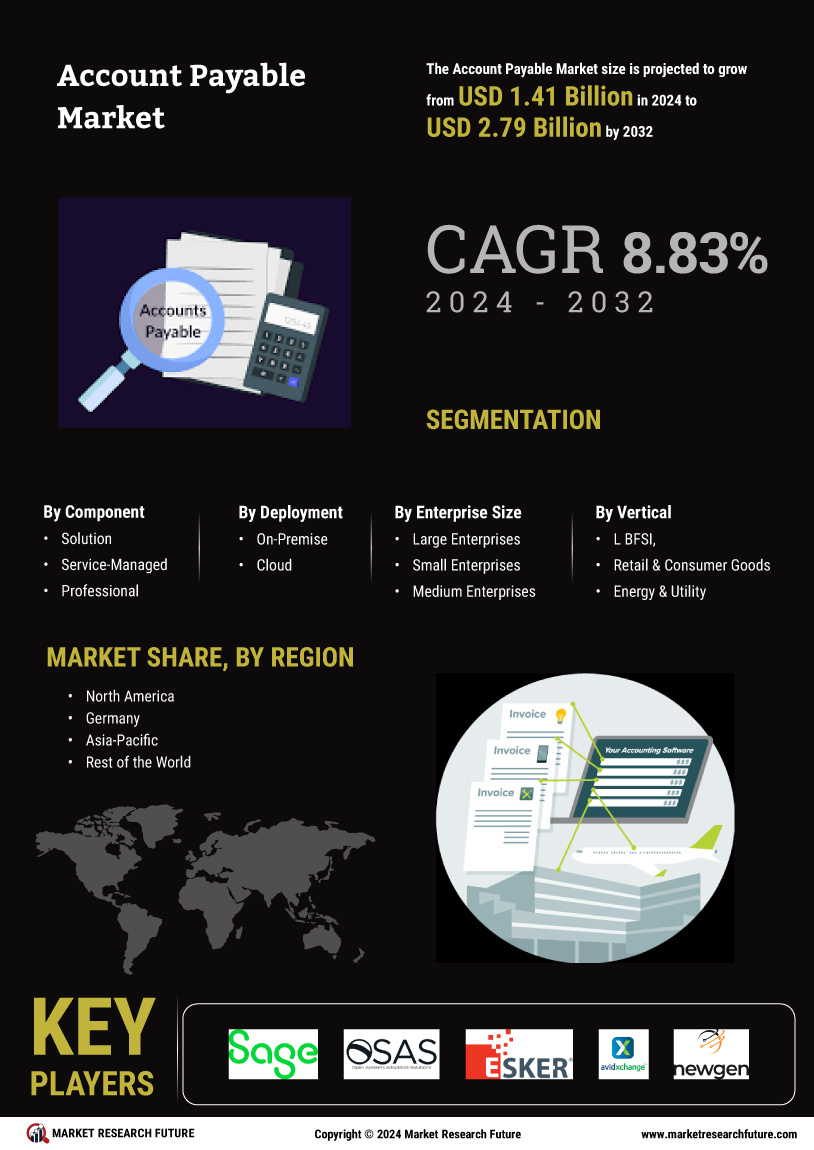 Account Payable Market