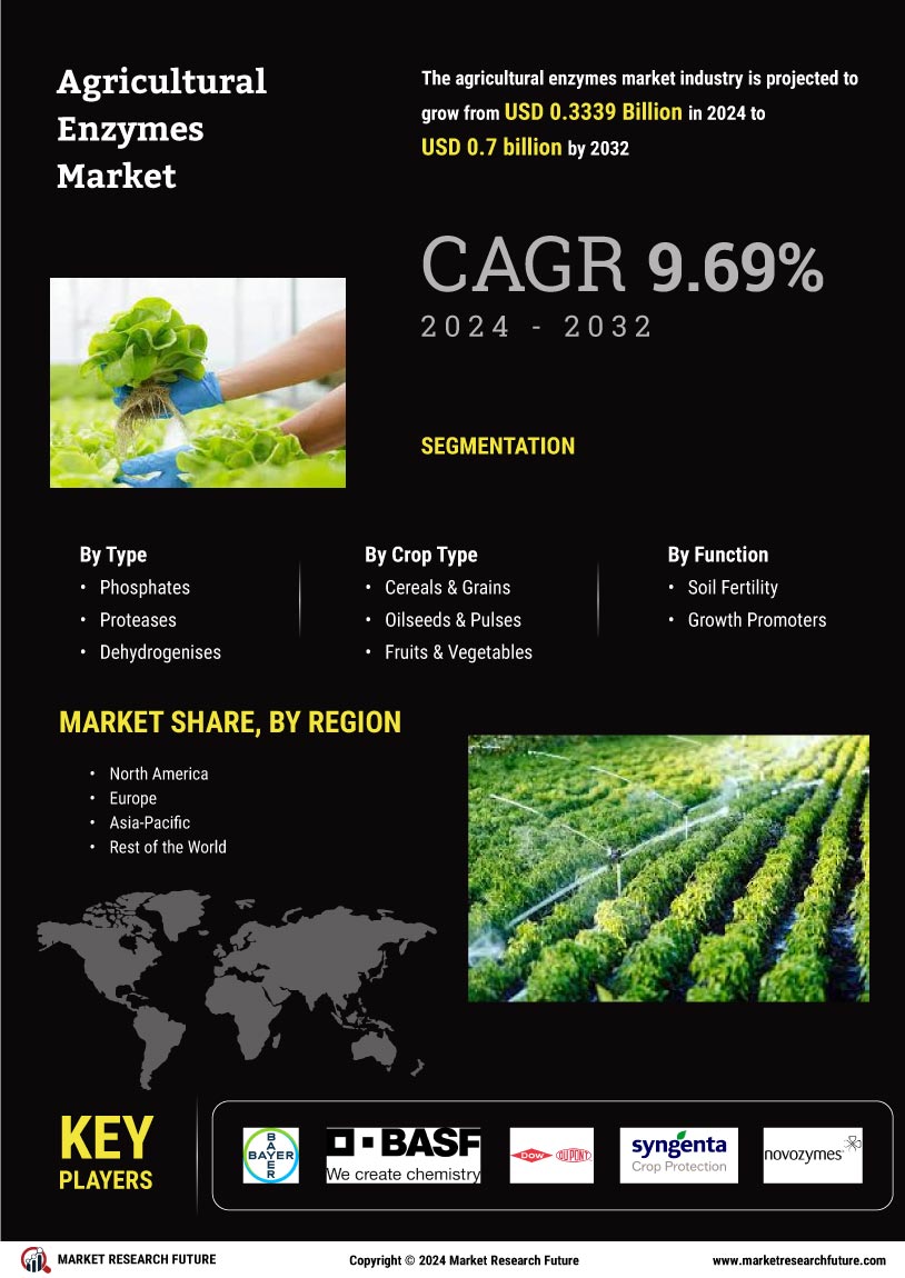 Agricultural Enzymes Market