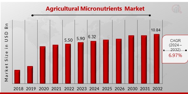 Agricultural Micronutrients Market Overview