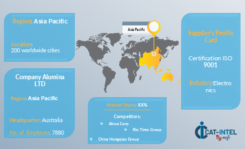 Supplier Landscape: Supplier Negotiations and Strategies