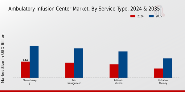 Ambulatory Infusion Center Market Segment