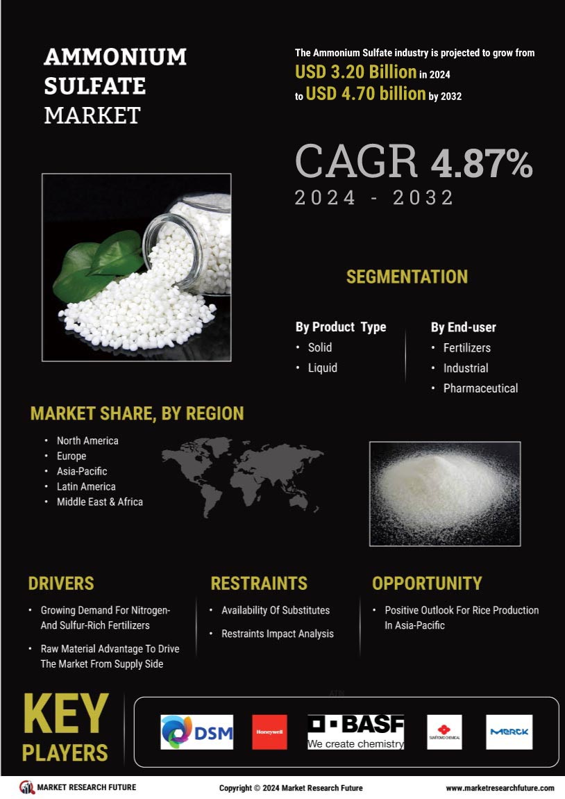 Ammonium sulfate market infographic