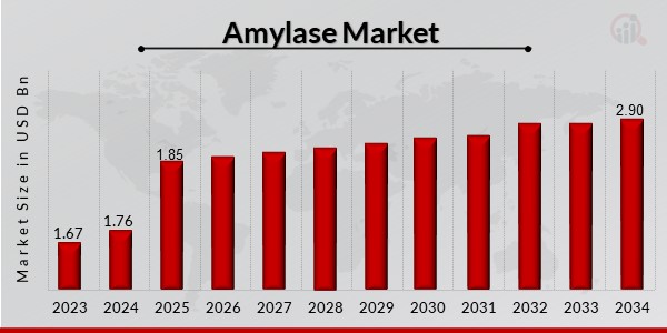 Amylase Market Overview