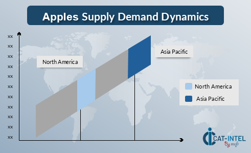 Apples Supply Demand Dynamics