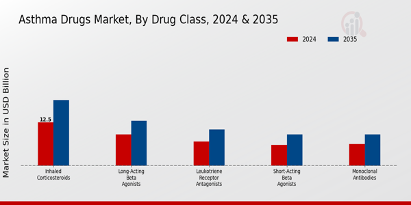 Asthma Drugs Market Segment