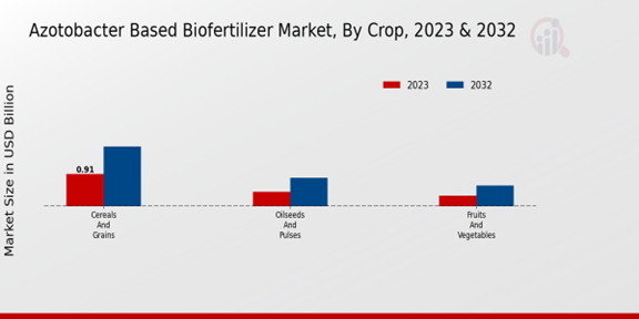 Azotobacter-Based Biofertilizer Market Crop