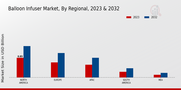 Balloon Infuser Market Regional Insights   