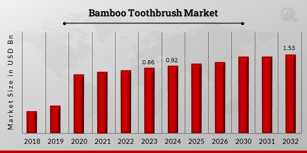 Bamboo Toothbrush Market Overview1