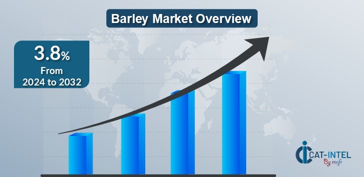 Barley Market Overview