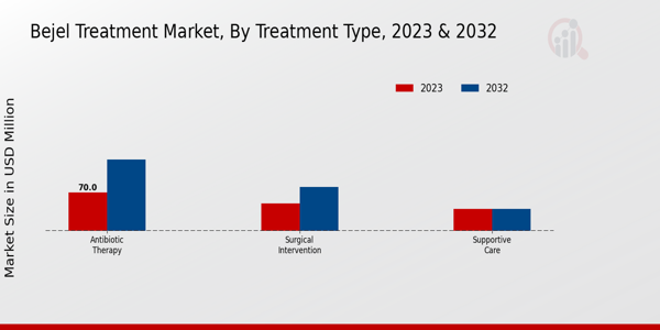 Bejel Treatment Market Treatment Type Insights