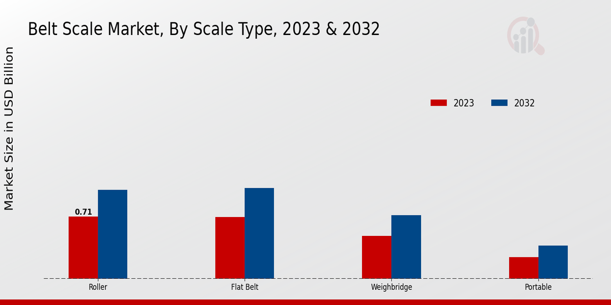 Belt Scale Market Scale Type Insights  