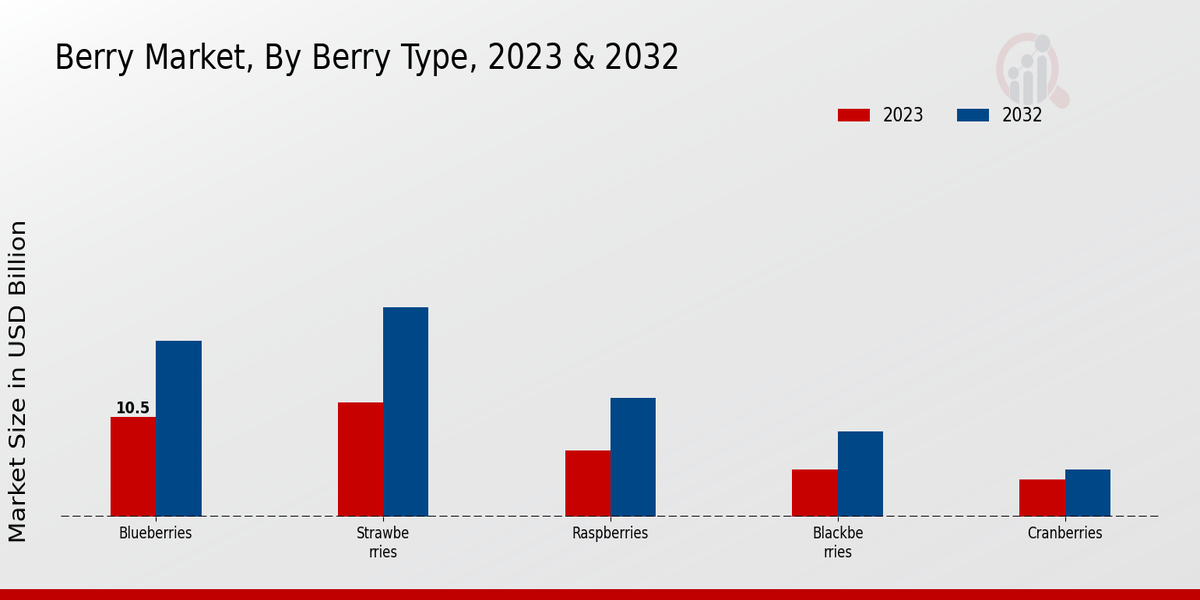 Berry_Market_2