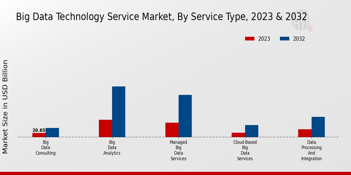 Big Data Technology Service Market Service Type Insights