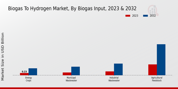 Biogas To Hydrogen Market, By Biogas Input