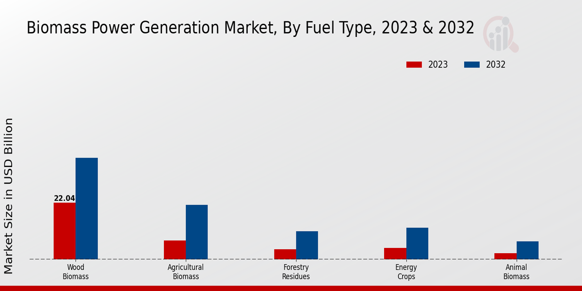 Biomass Power Generation Market Fuel Type Insights 