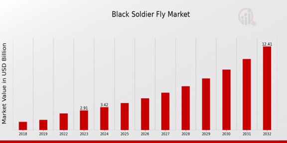 Black Soldier Fly Market Overview