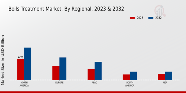 Boils Treatment Market Regional Insights