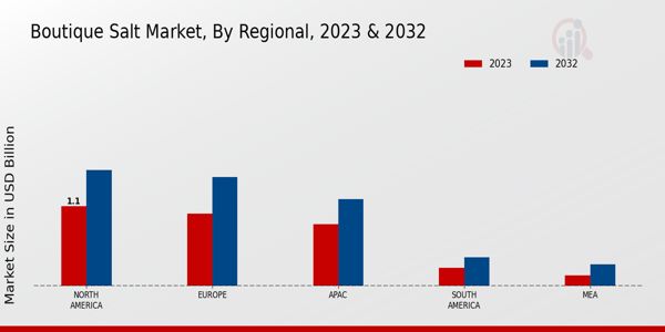 Boutique Salt Market Regional Insights   