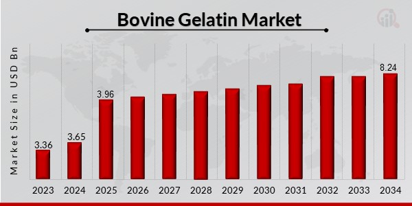 Bovine Gelatin Market Overview