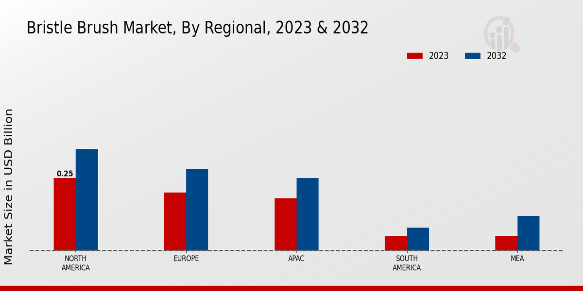 Bristle Brush Market Regional Insights