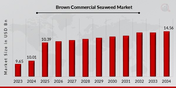 Brown Commercial Seaweed Market Overview