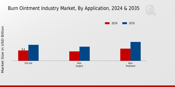 Burn Ointment Market Application Insights