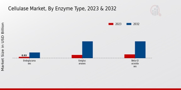 Cellulase Market Enzyme Type Insights  