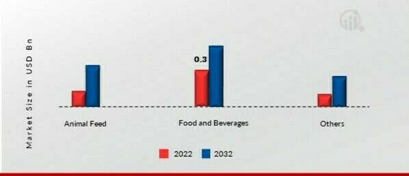 Chickpea Protein Ingredients Market, by Application, 2022 & 2032 (USD Billion)