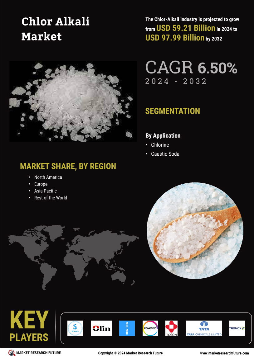 Chlor alkali market infographs