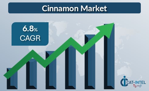 Cinnamon Market Overview