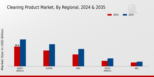 Cleaning Product Market regional insights