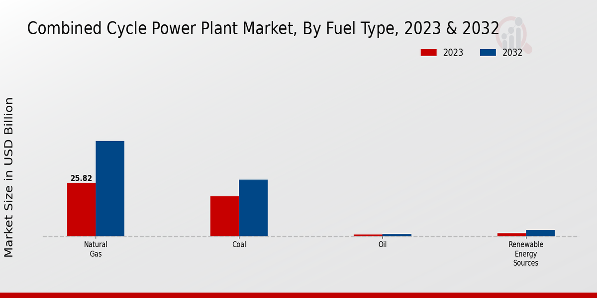 Combined Cycle Power Plant Market Fuel Type Insights