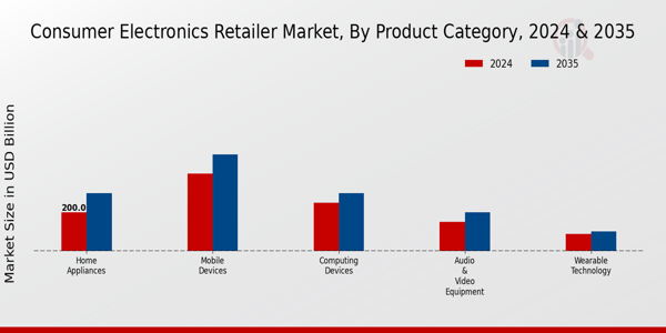 Consumer Electronics Retailer Market type insights