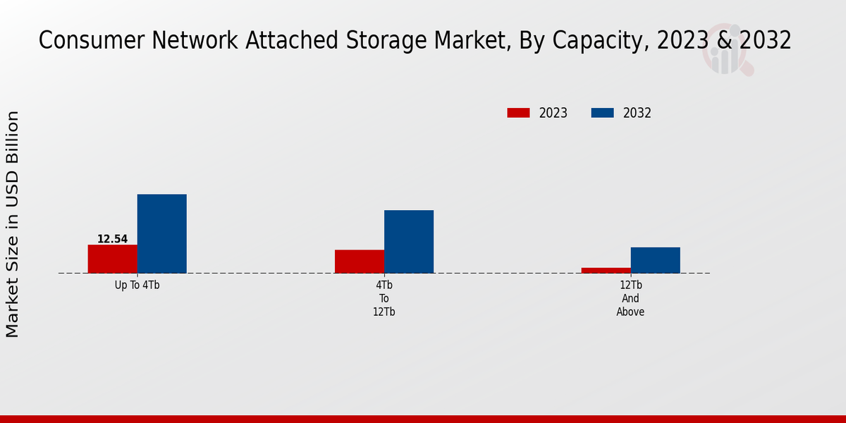 Consumer Network Attached Storage Market Capacity Insights