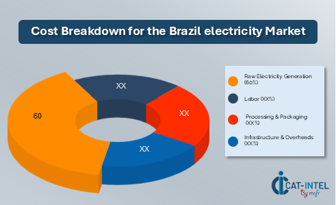 Cost Breakdown for the Brazil electricity Market  