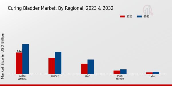 Curing Bladder Market Regional Insights  