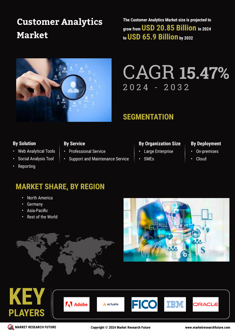 Customer Analytics Market