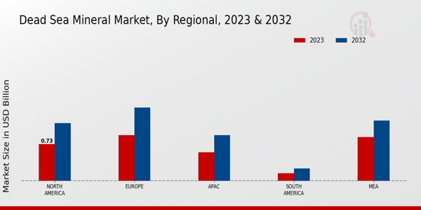 Dead Sea Mineral Market By Region