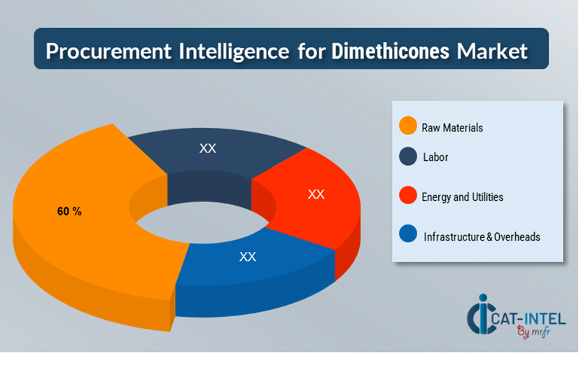 Dimethicones Market Overview