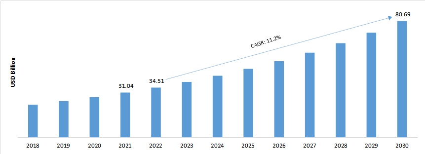 Basketball Gear Market Size & Share Report, 2022-2030