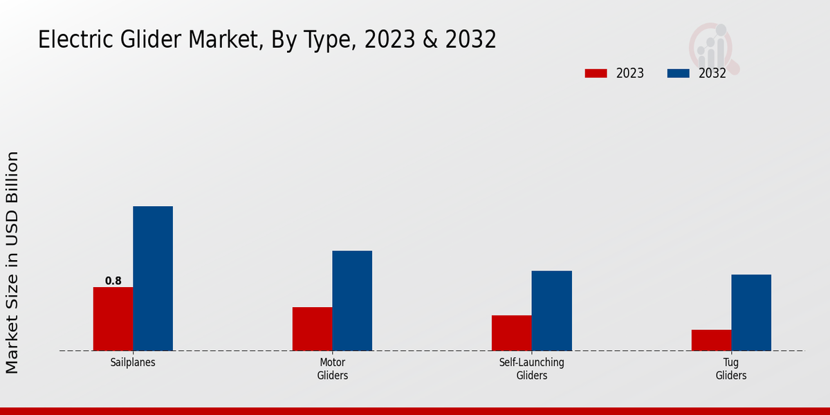 Electric Glider Market Type Insights