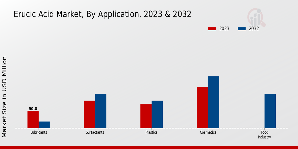 Erucic Acid Market By Application 2023 & 2032