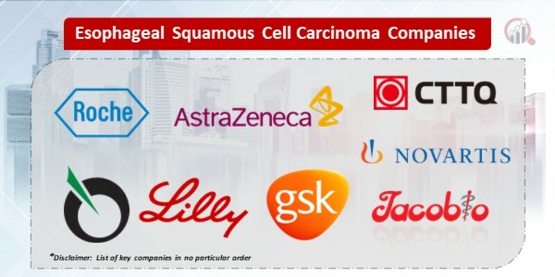 Esophageal Squamous Cell Carcinoma Key Companies