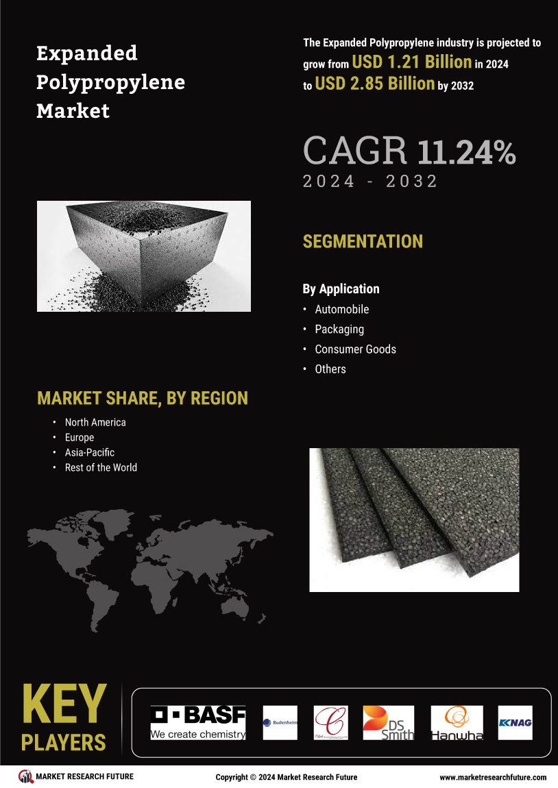 Expanded polypropylene market infographs