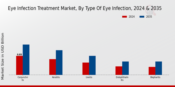 Eye Infection Treatment Market Segment