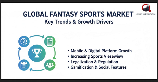 Fantasy Sports Market Press Release