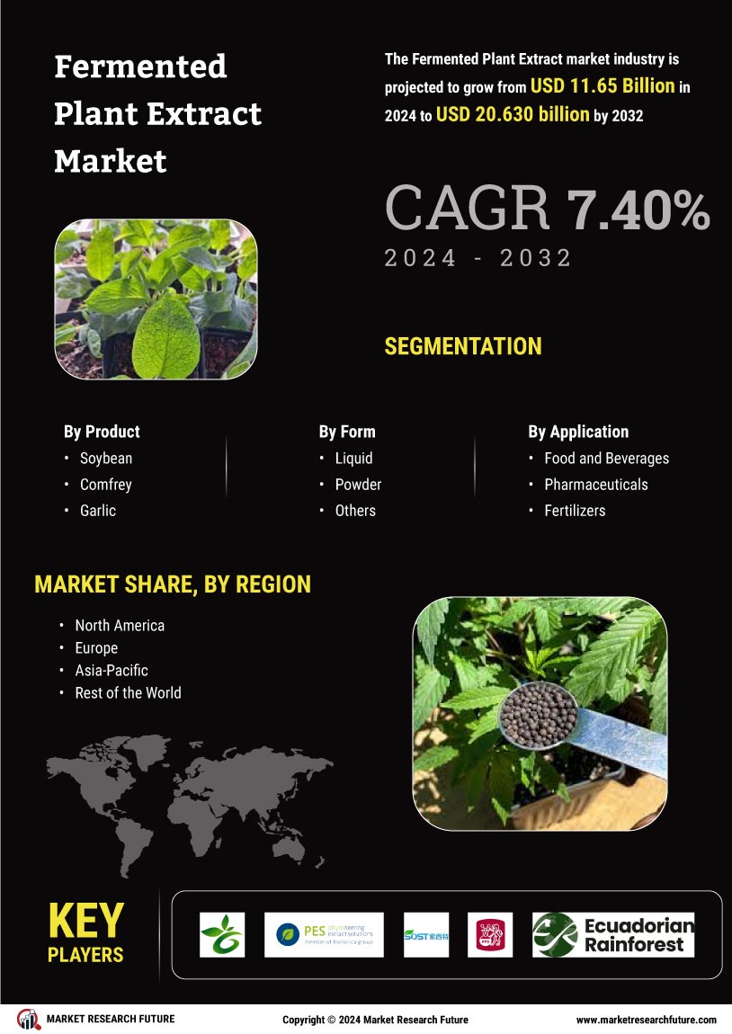 Fermented Plant Extract Market