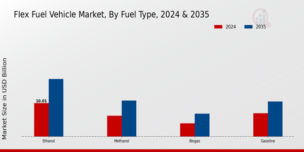 Flex Fuel Vehicle Market Segment